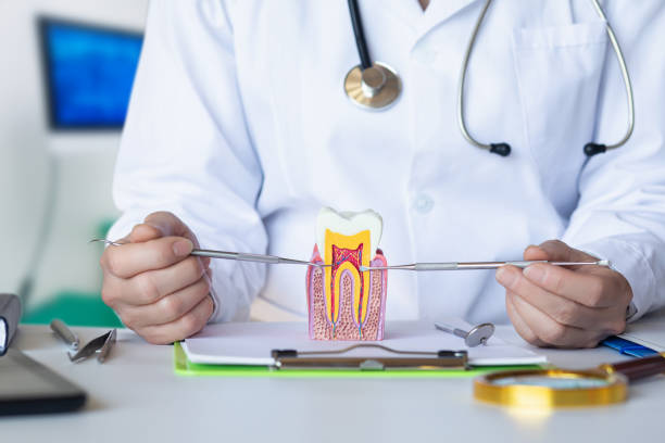 Best Weekend Emergency Dentist in Athens, MI